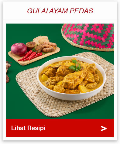 Gulai Ayam Pedas 